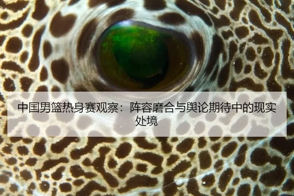 中国男篮热身赛观察：阵容磨合与舆论期待中的现实处境